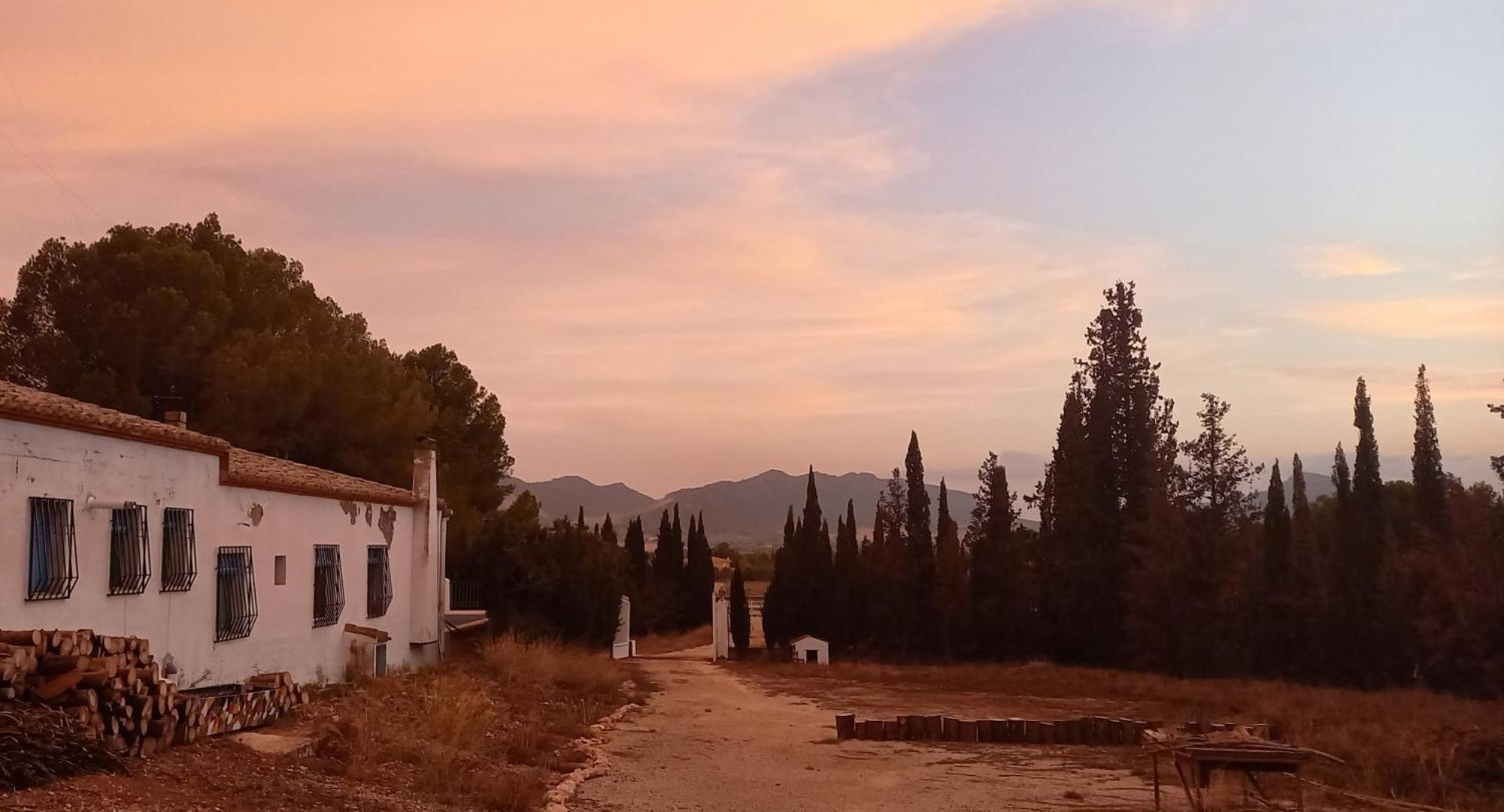 Casa Rural Vista Magdalena Yecla Dış mekan fotoğraf